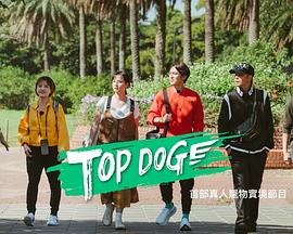 TOPDOG